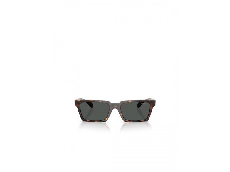 VERSACE Unisex Sunglasses 4490U/108/87/55