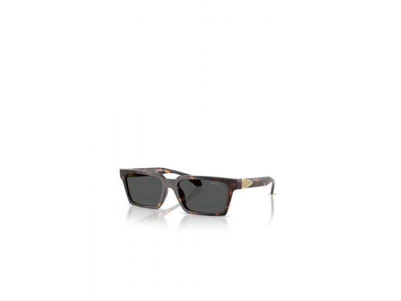 VERSACE Unisex Sunglasses 4490U/108/87/55