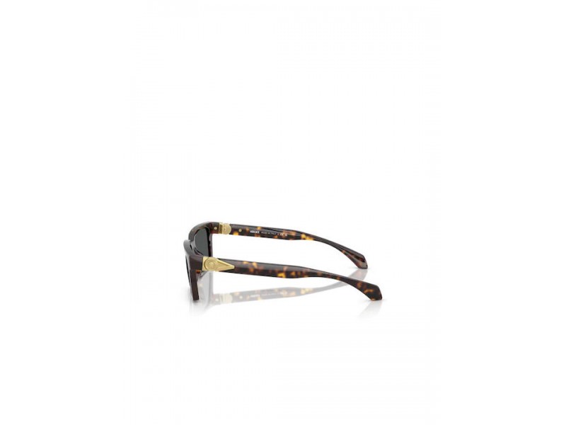 VERSACE Unisex Sunglasses 4490U/108/87/55