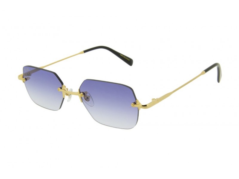 9FIVE Unisex Sunglasses CLARITYLITE/GLDBL/53