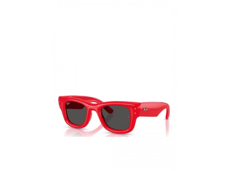 Ray-Ban Unisex Sunglasses 4940/683187/47